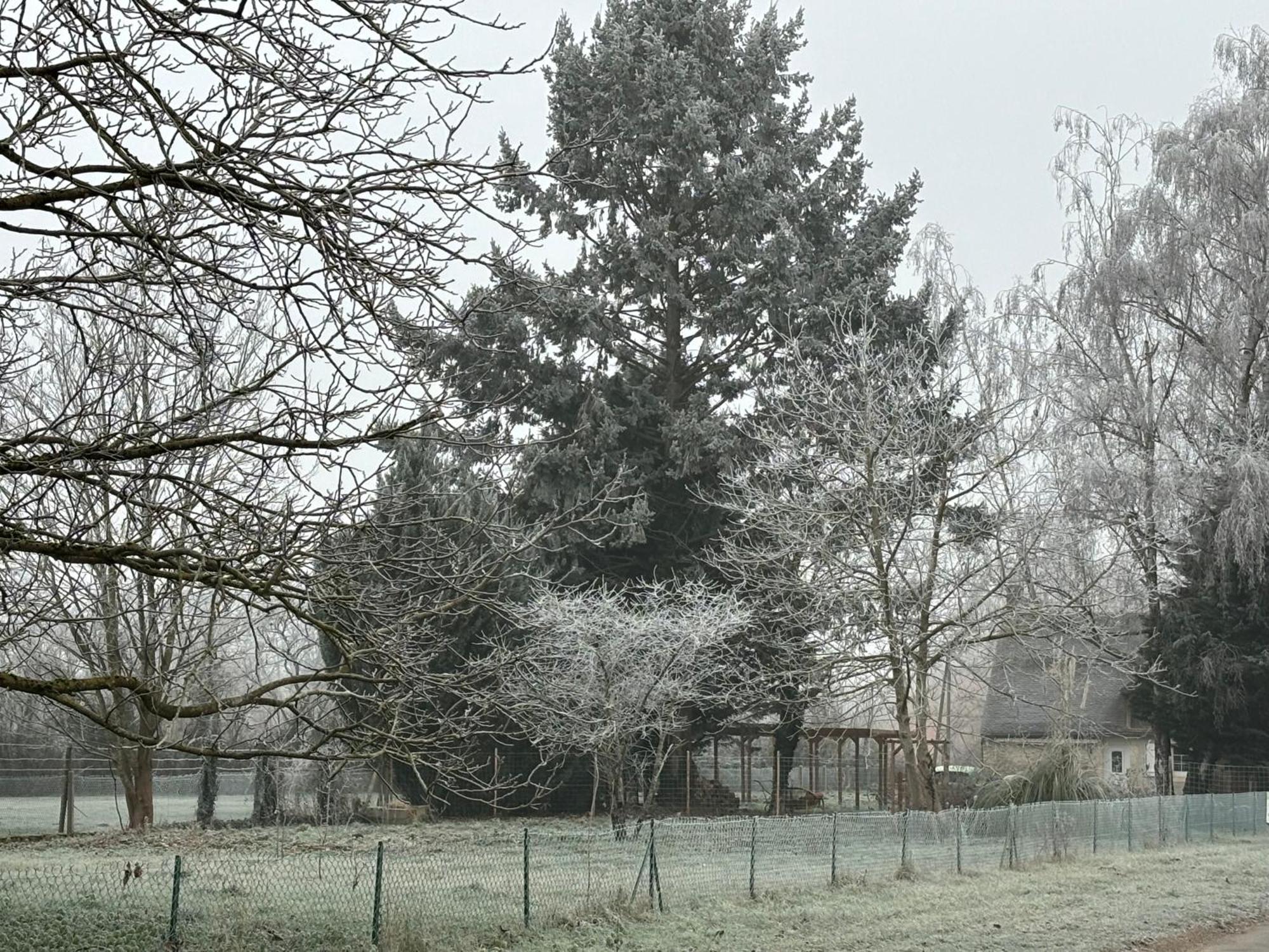 La Haute Tremiere Charenton-du-Cher Екстер'єр фото